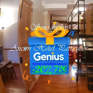 Semi-duplex Ancien Particulier Apartment Bourg-en-Bresse